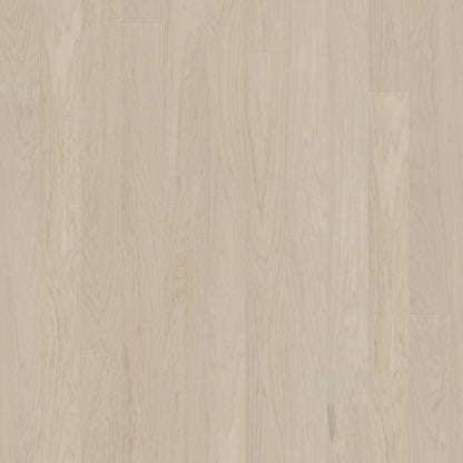 Coconut Cream (PIN)