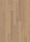 Oak Nouveau White
