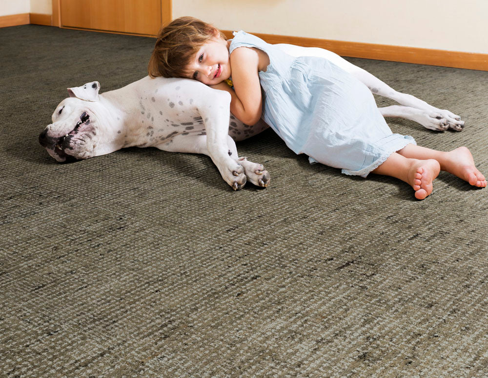 ウール絨毯／pure wool carpet Pure Life, Peabody, Pure Natural Wool Carpets – Green Building Supply