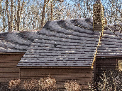 EcoStar, Majestic Niagara Shake Tiles (PIN)