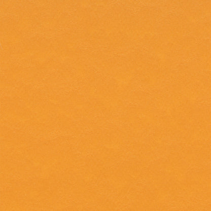 Pumpkin Yellow