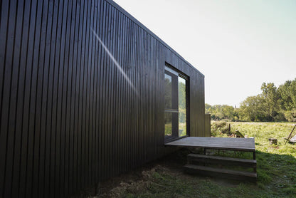 Saddle Black over Pine