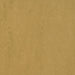 Linseed 3768