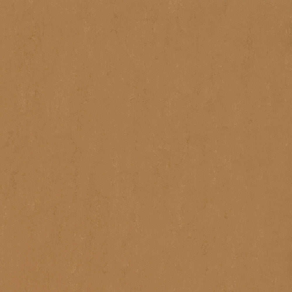 Tigers Eye 3772