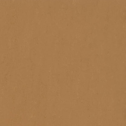 Tigers Eye 3772