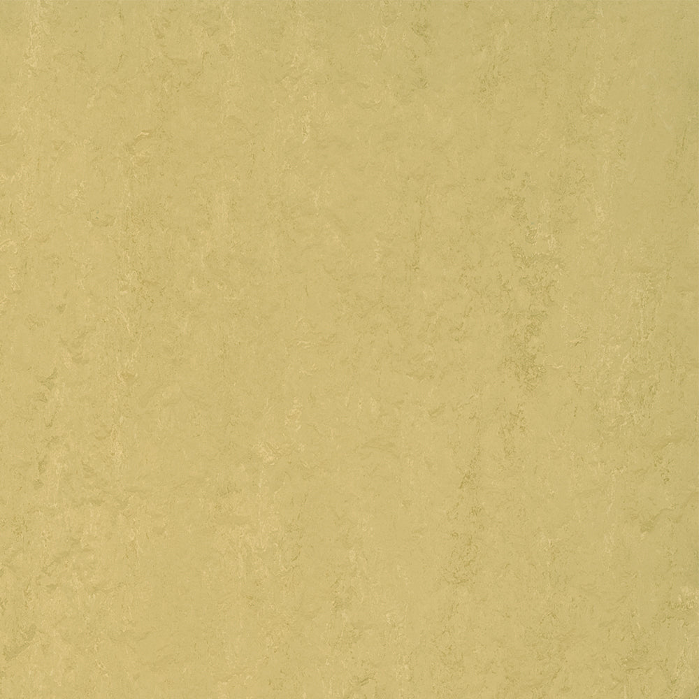 Cork Silk 3774