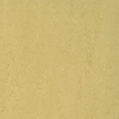 Cork Silk 3774