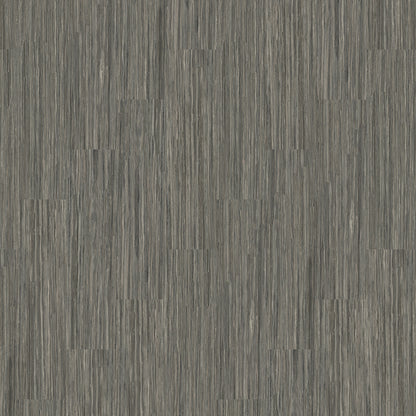 Black Glacier 5251
