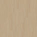Silt Stone 5256