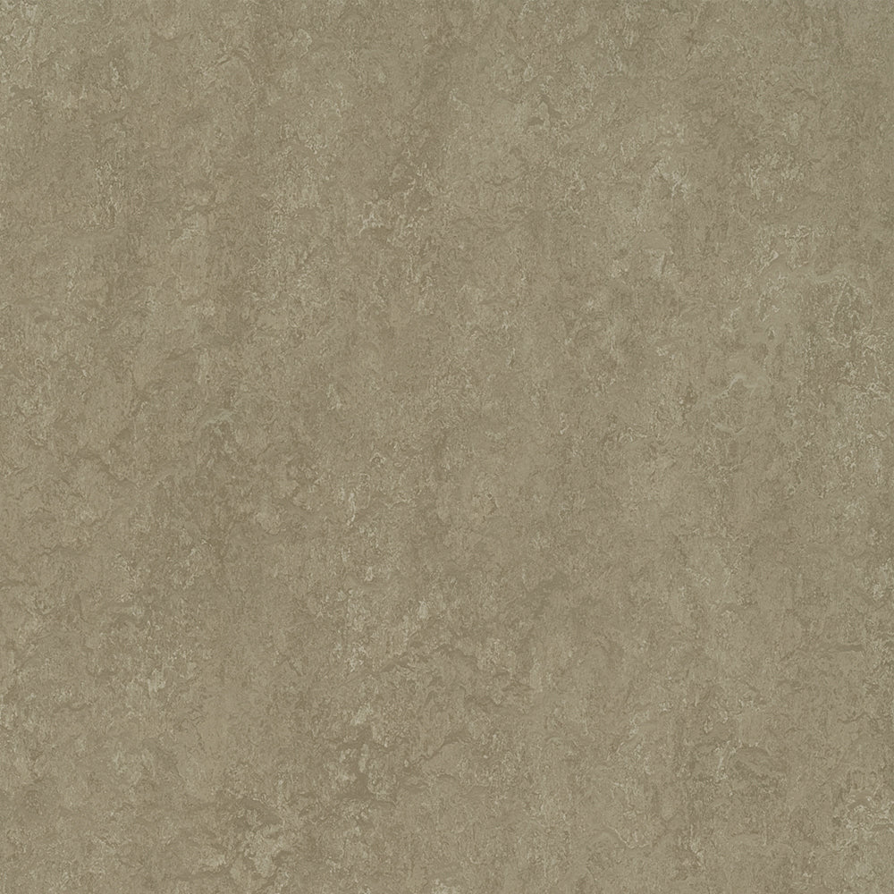 Sparrow 3252