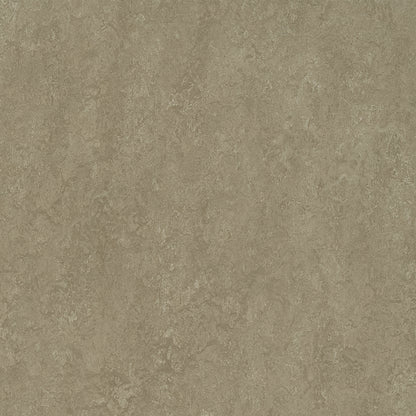 Sparrow 3252