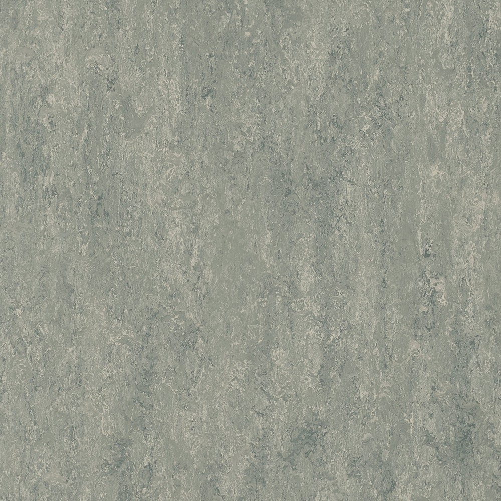 Pigeon Grey 3290