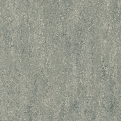 Pigeon Grey 3290