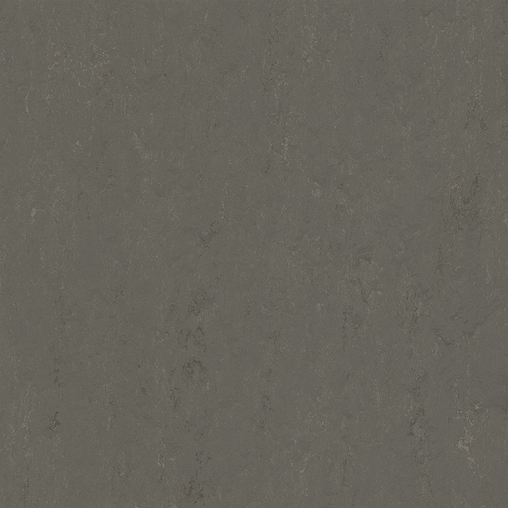 Meteorite 3705