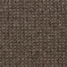Scottish Gray