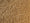 Golden Oak 5995