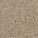 Cedar Grove