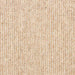 Shoreline Beige