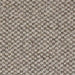 Dapple Gray