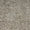 Petoskey Stone 5244