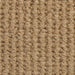 Buckskin