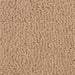 Arizona Beige