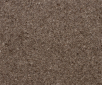 Otter 2169