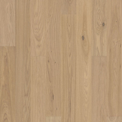 Misty White Oak