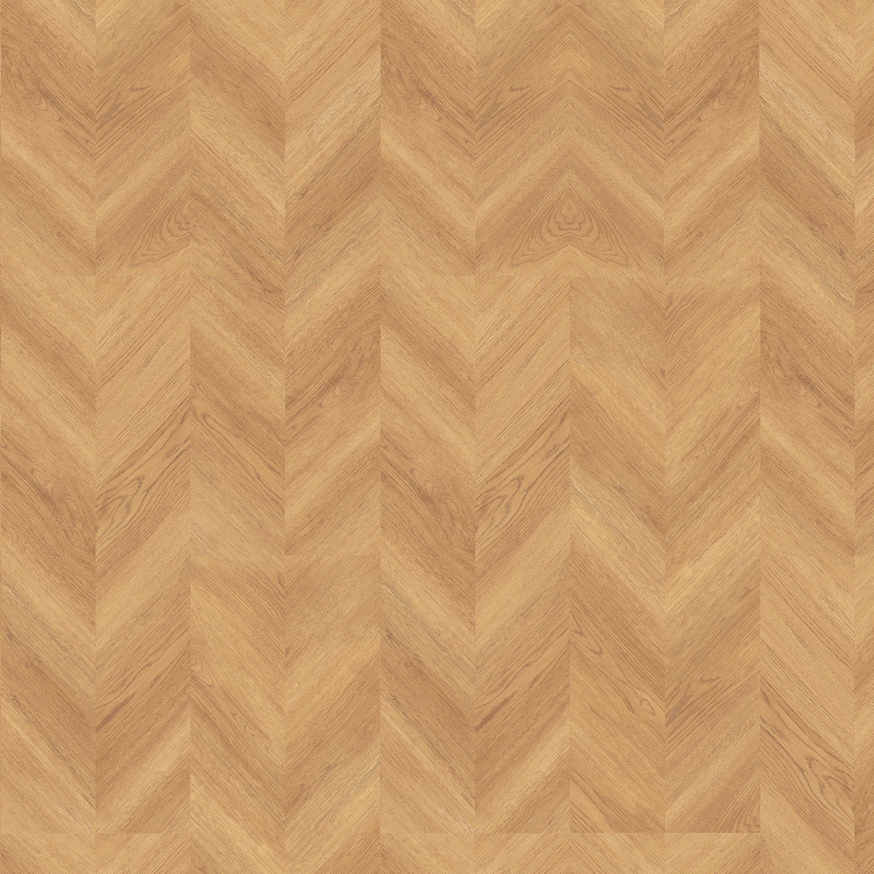 Legacy Oak